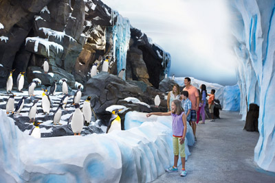 Antarctica at SeaWorld Orlando