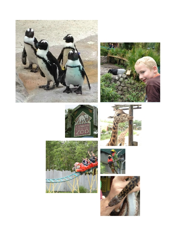 LowryParkZooCollage